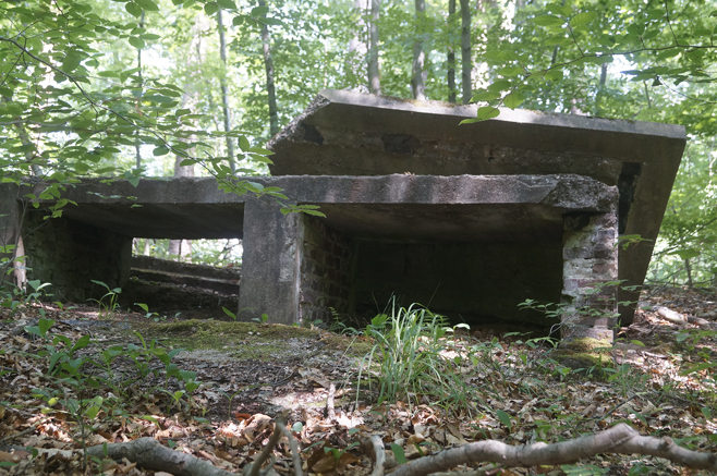 n_09_kö_J100_zeitzg_6-2010.jpg